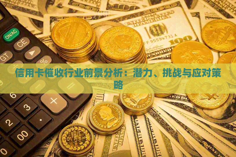 信用卡行业前景分析：潜力、挑战与应对策略