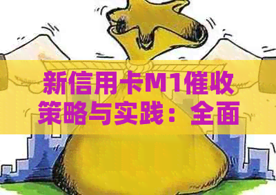 新信用卡M1策略与实践：全面解决用户疑虑，提高效果
