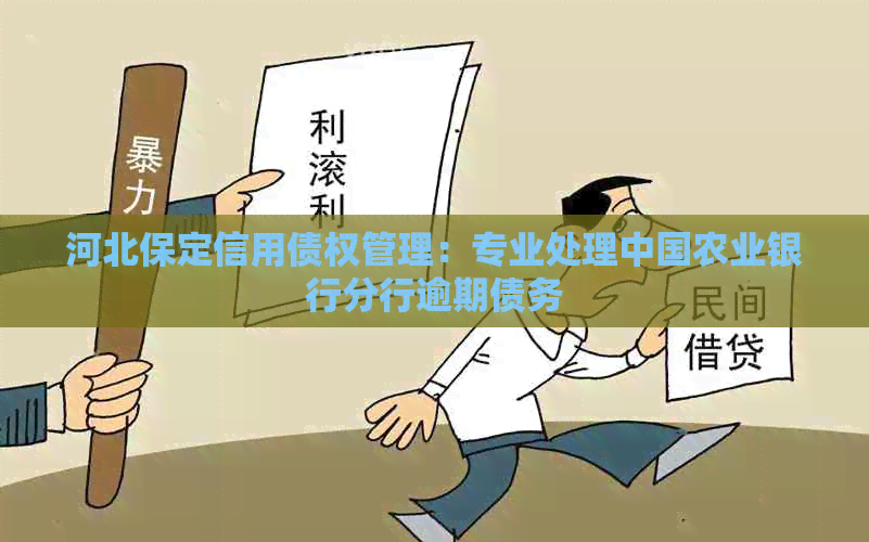 河北保定信用债权管理：专业处理中国农业银行分行逾期债务