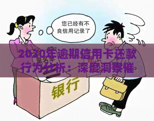 2020年逾期信用卡还款行为分析：深度洞察现状与趋势
