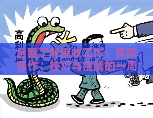 全面了解工作：实际操作、技巧与挑战的一周事