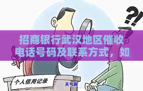 招商银行武汉地区电话号码及联系方式，如何应对信用卡逾期还款等问题