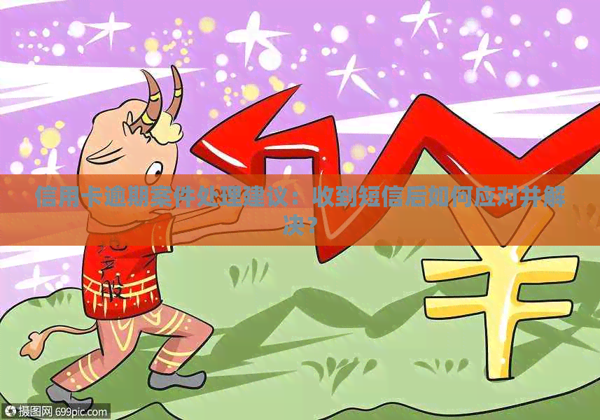 信用卡逾期案件处理建议：收到短信后如何应对并解决？