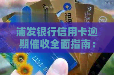 浦发银行信用卡逾期全面指南：了解逾期原因、解决方案及应对策略