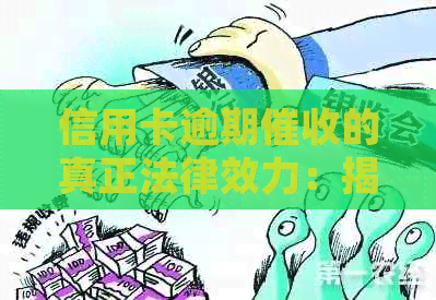 信用卡逾期的真正法律效力：揭秘专用章的秘密
