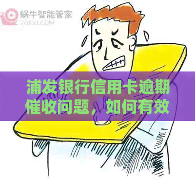 浦发银行信用卡逾期问题，如何有效投诉上门办理？