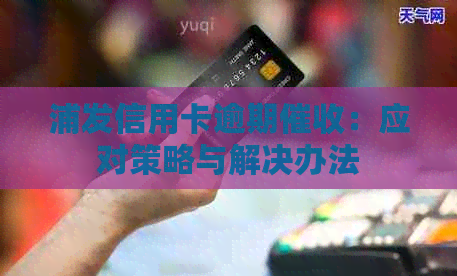 浦发信用卡逾期：应对策略与解决办法