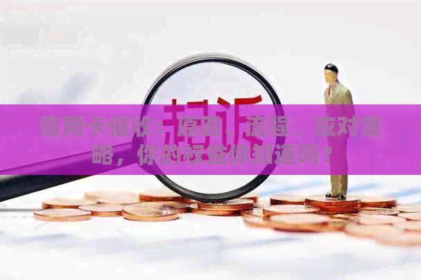 信用卡：原因、流程、应对策略，你的权益你知道吗？
