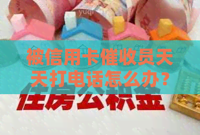 被信用卡员天天打电话怎么办？如何应对频繁的电话。