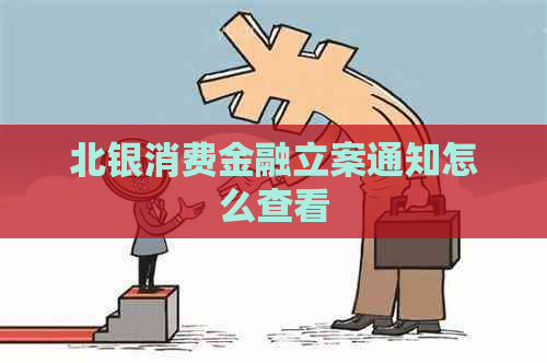 北银消费金融立案通知怎么查看