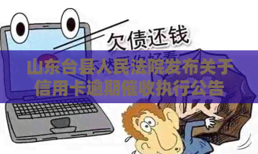 山东台县人民法院发布关于信用卡逾期执行公告