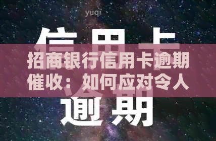 招商银行信用卡逾期：如何应对令人烦恼的电话和投诉？