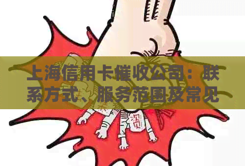 上海信用卡公司：联系方式、服务范围及常见问题解答