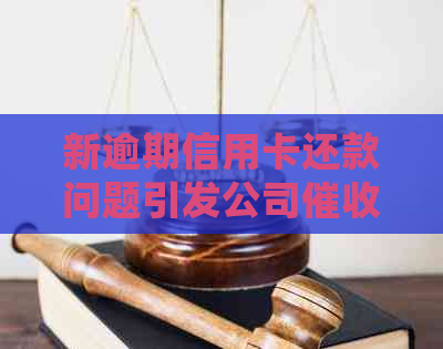 新逾期信用卡还款问题引发公司，如何应对与处理？