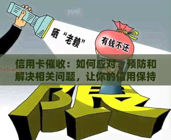 信用卡：如何应对、预防和解决相关问题，让你的信用保持健