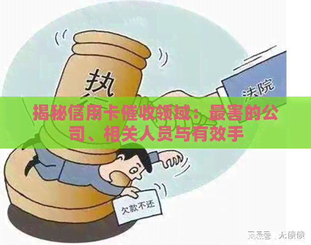 揭秘信用卡领域：最害的公司、相关人员与有效手