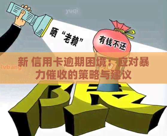 新 信用卡逾期困境：应对的策略与建议