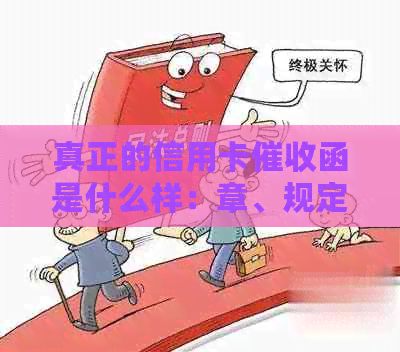 真正的信用卡函是什么样：章、规定与操作一览