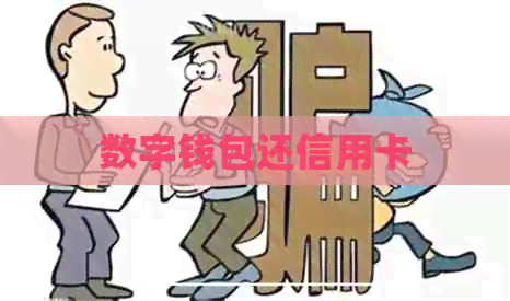 数字钱包还信用卡