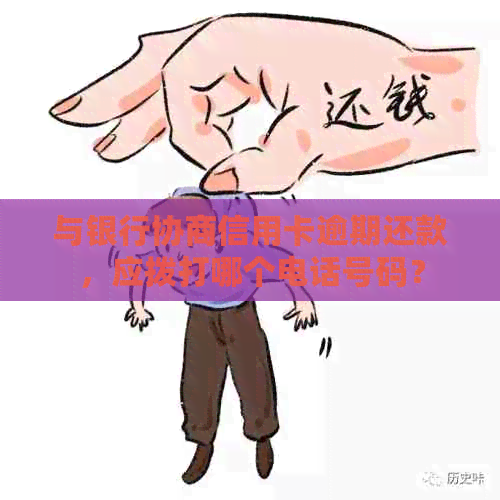 与银行协商信用卡逾期还款，应拨打哪个电话号码？