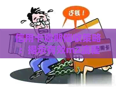 信用卡逾期策略：揭示有效m2流程及实用话术