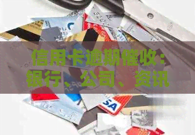 信用卡逾期：银行、公司、资讯与提成的比例揭秘