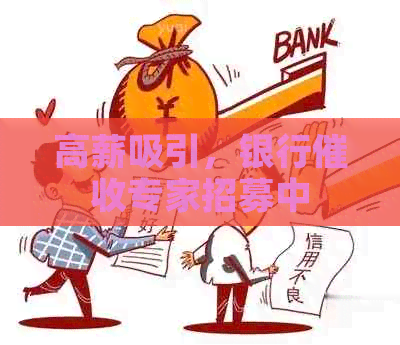 高薪吸引，银行专家招募中