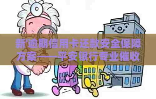 新'逾期信用卡还款安全保障方案——平安银行专业专用章'