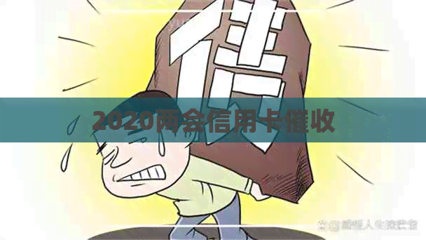 2020两会信用卡