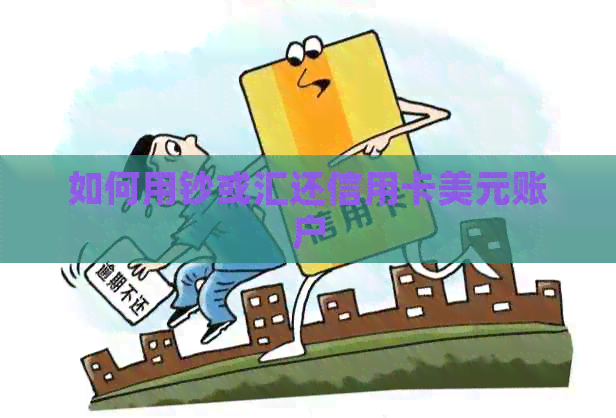 如何用钞或汇还信用卡美元账户