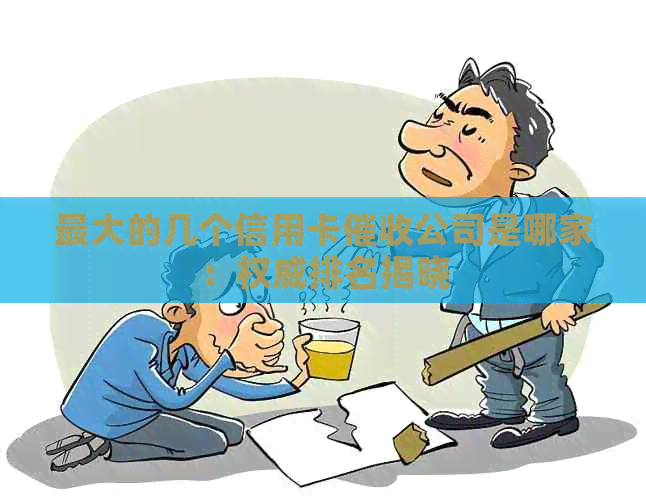 更大的几个信用卡公司是哪家：权威排名揭晓