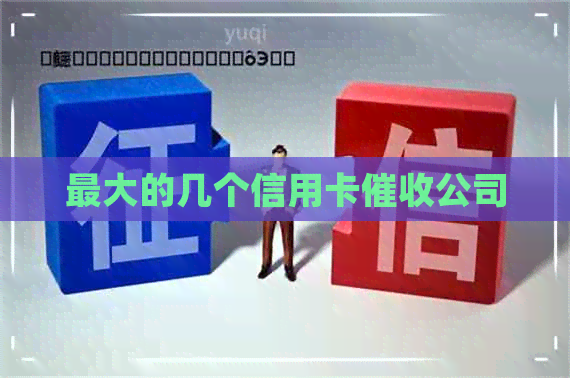 更大的几个信用卡公司