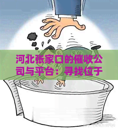 河北张家口的公司与平台：寻找位于张家口的小贷服务