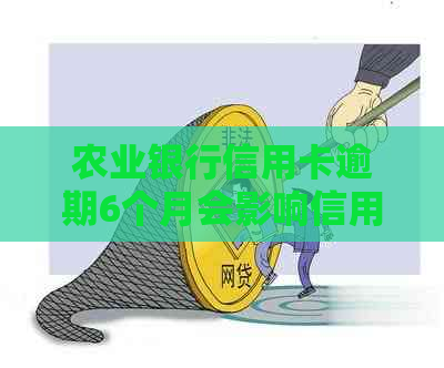 农业银行信用卡逾期6个月会影响信用吗