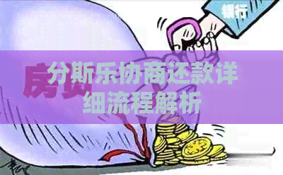 分斯乐协商还款详细流程解析