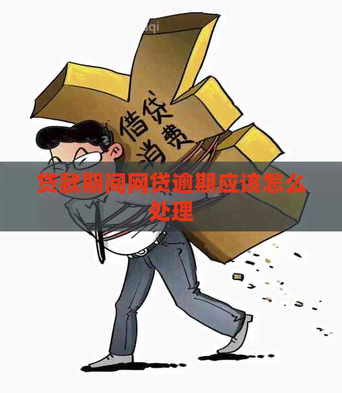 贷款期间网贷逾期应该怎么处理