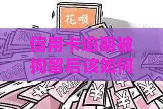 信用卡逾期被拘留后该如何处理？全面解决用户关心的问题