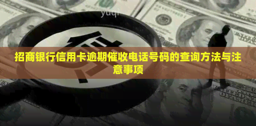 招商银行信用卡逾期电话号码的查询方法与注意事项