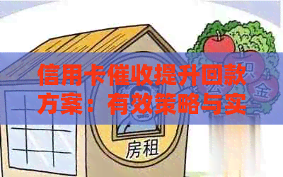 信用卡提升回款方案：有效策略与实践方法