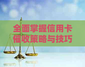 全面掌握信用卡策略与技巧：解决逾期问题、降低风险、提高效率