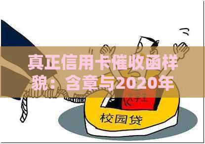 真正信用卡函样貌：含章与2020年规定，详解做工作