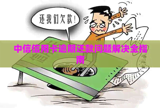 中信信用卡逾期还款问题解决全指南