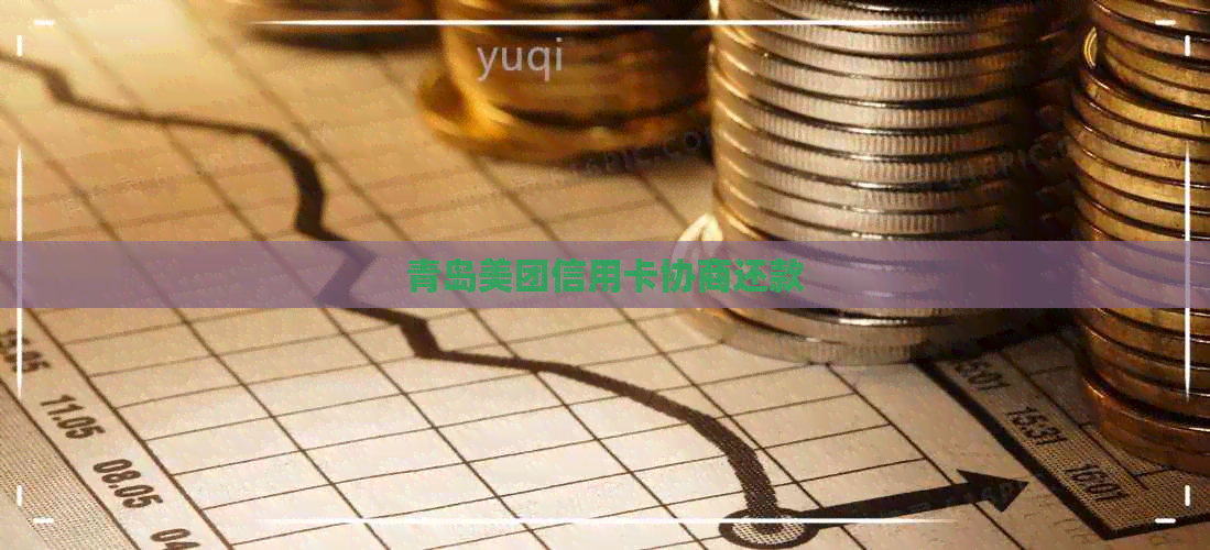 青岛美团信用卡协商还款