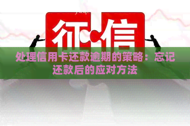 处理信用卡还款逾期的策略：忘记还款后的应对方法