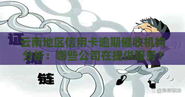 云南地区信用卡逾期机构分析：哪些公司在提供服务？