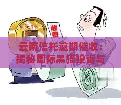 云南信托逾期：揭秘国际黑猫投诉与新浪网报道背后的故事