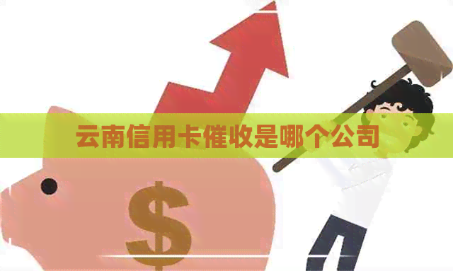 云南信用卡是哪个公司