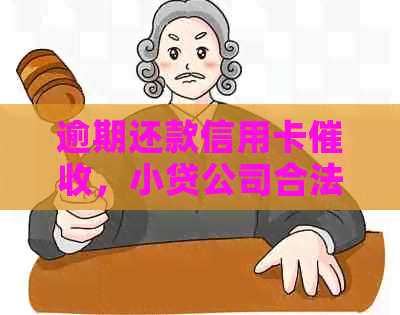 逾期还款信用卡，小贷公司合法调查流程揭秘
