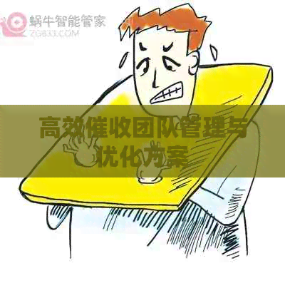 高效团队管理与优化方案
