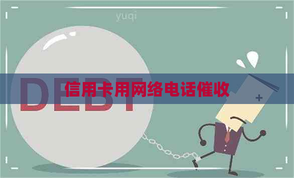 信用卡用网络电话